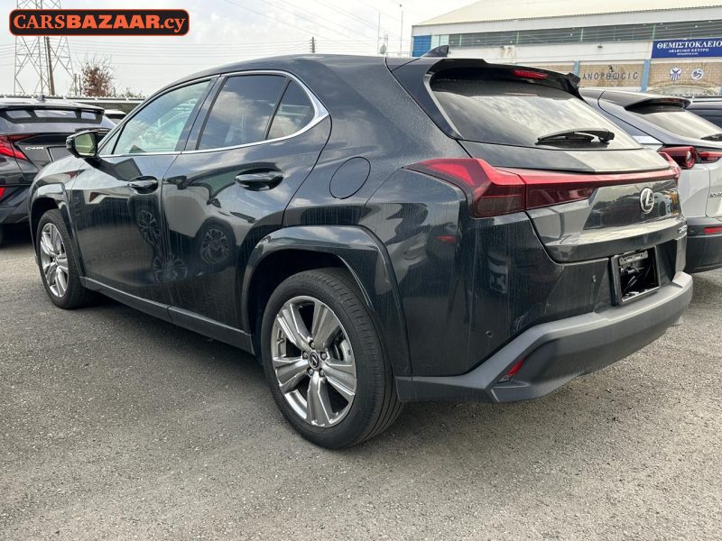 Lexus UX250H  - photo 10