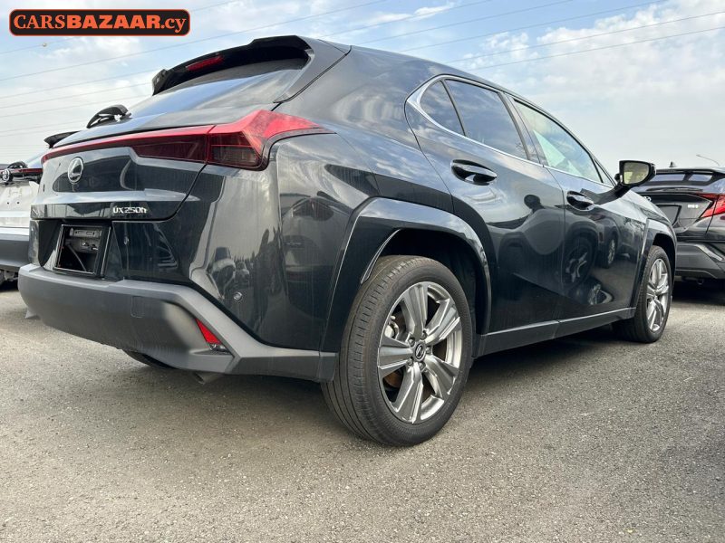 Lexus UX250H  - photo 9