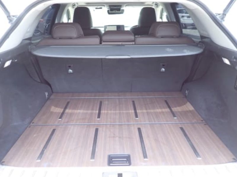 Lexus RX450 - photo 8