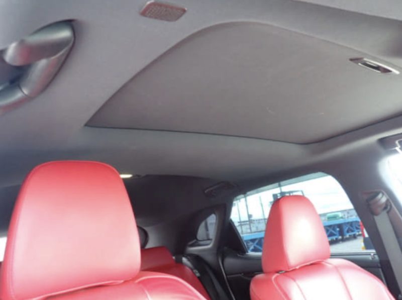 Lexus RX450H F Sport - photo 5