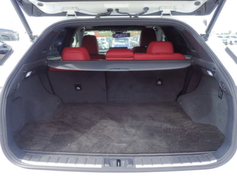 Lexus RX450H F Sport - photo 11