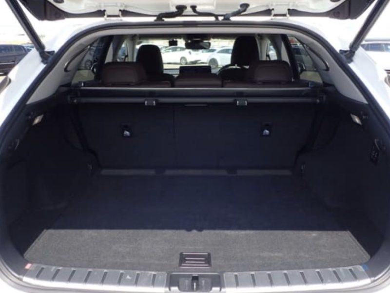 Lexus RX450 - photo 9
