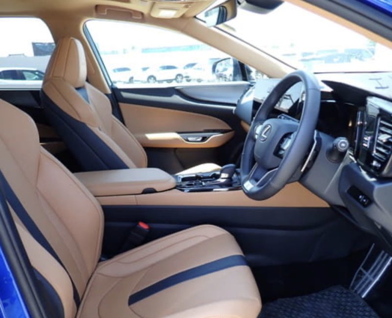 Lexus NX350 HYBRID F SPORT - photo 7