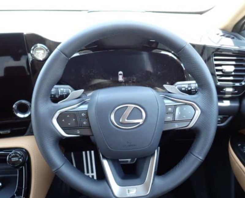 Lexus NX350 HYBRID F SPORT - photo 11