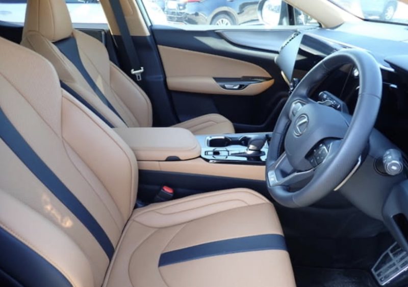 Lexus NX350 HYBRID F SPORT - photo 5