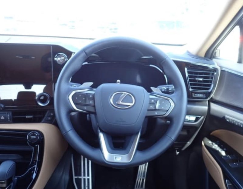 Lexus NX350 HYBRID F SPORT - photo 9