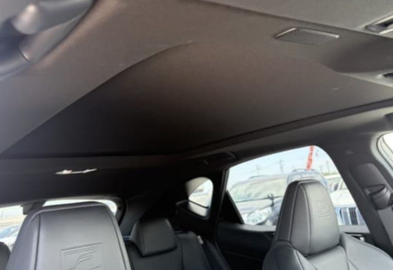 Lexus NX350 HYBRID F SPORT - photo 5