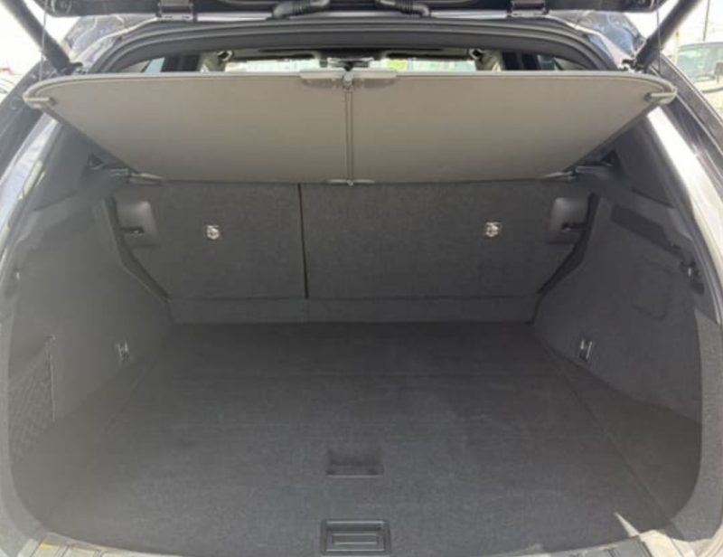Lexus NX350 HYBRID F SPORT - photo 12