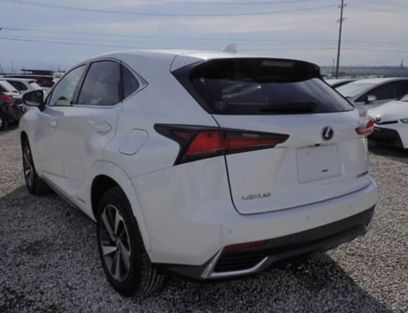 Lexus NX 300H  - photo 2