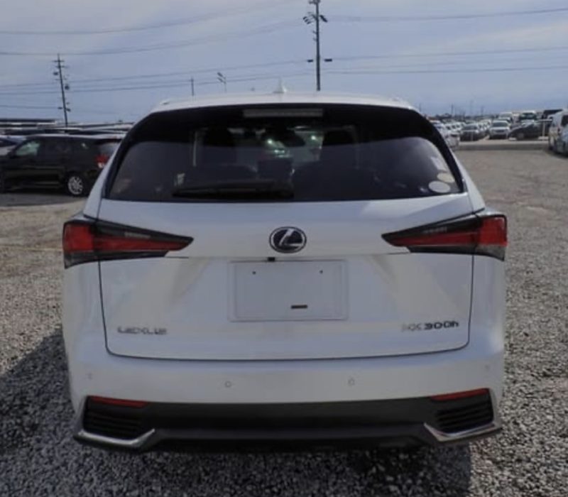 Lexus NX 300H  - photo 3