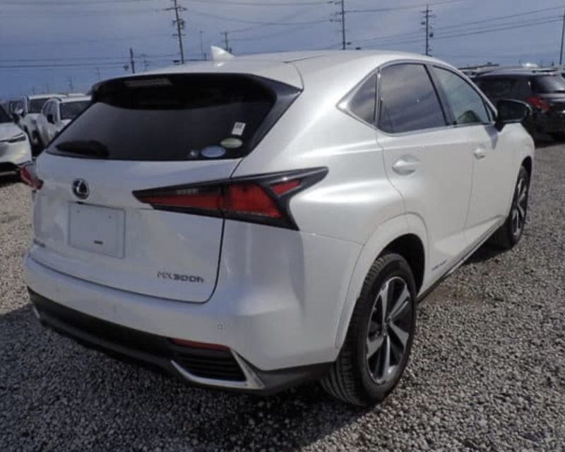 Lexus NX 300H  - photo 4