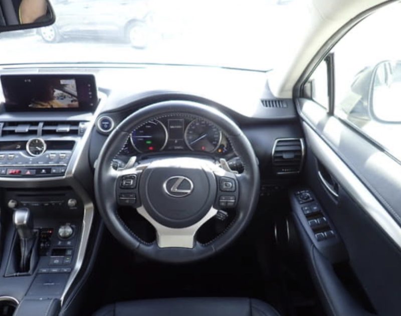 Lexus NX 300H  - photo 9