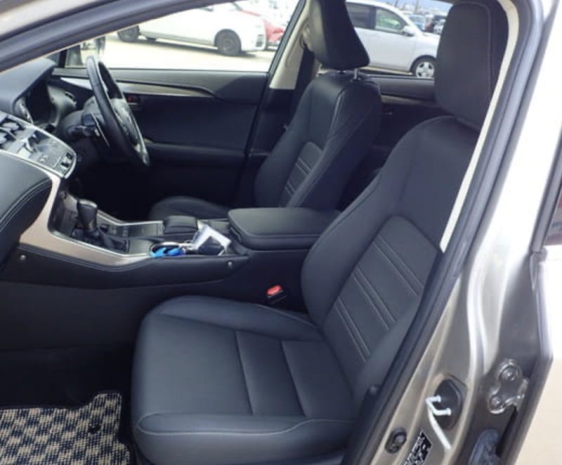 Lexus NX 300H  - photo 9