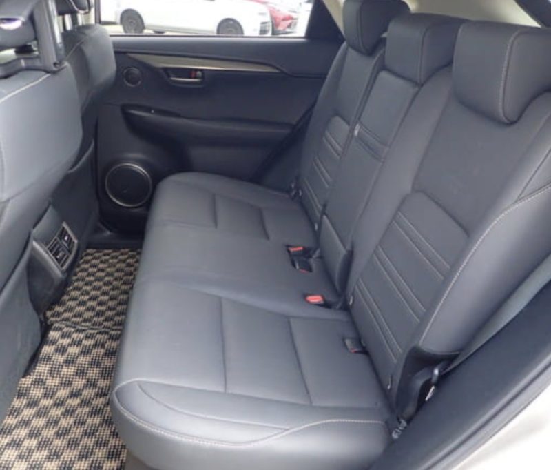 Lexus NX 300H  - photo 10