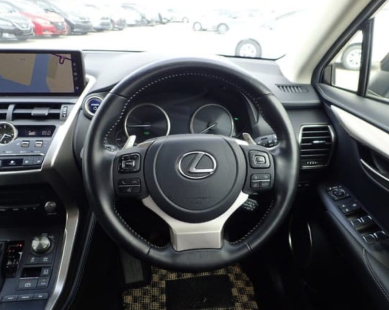 Lexus NX 300H  - photo 12