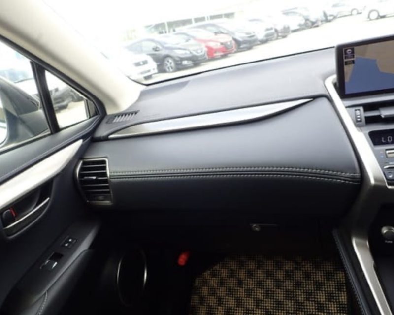 Lexus NX 300H  - photo 13