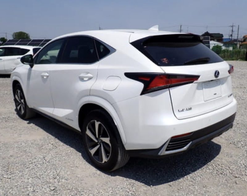 Lexus NX 300H  - photo 2