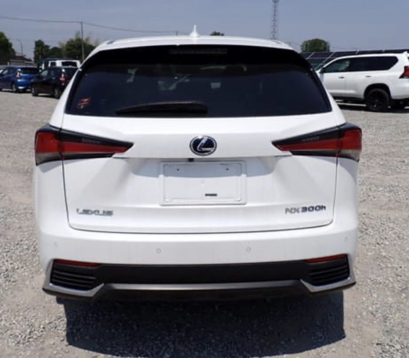 Lexus NX 300H  - photo 3