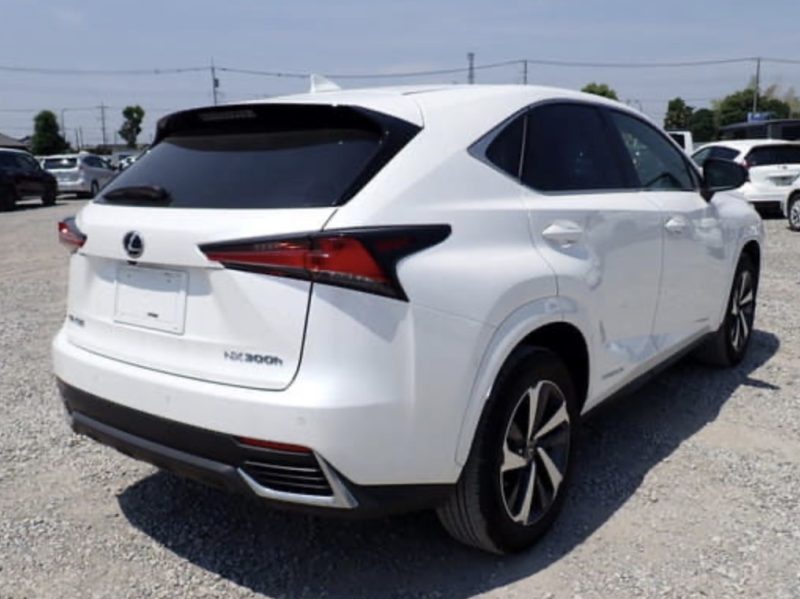 Lexus NX 300H  - photo 4