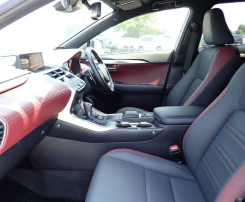 Lexus NX 300H  - photo 6