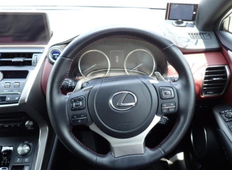 Lexus NX 300H  - photo 10