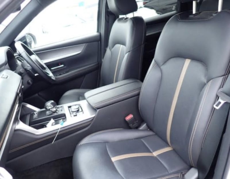 Mazda CX-60 - photo 6