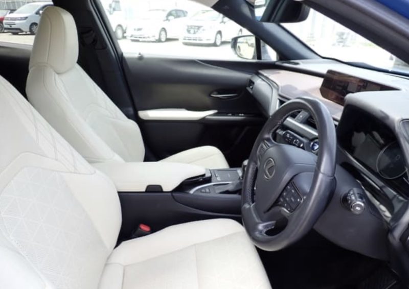 Lexus UX250H  - photo 5