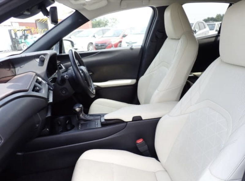Lexus UX250H  - photo 6