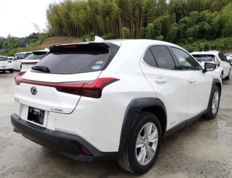 Lexus UX250H  - photo 4