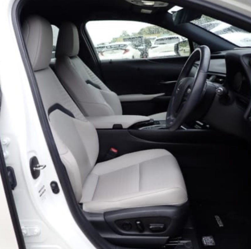 Lexus UX250H  - photo 6