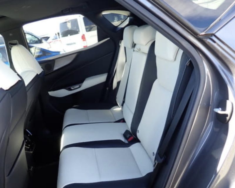 Lexus NX350 HYBRID F SPORT - photo 8