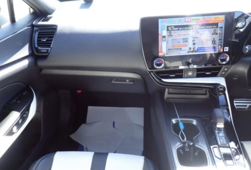 Lexus NX350 HYBRID F SPORT - photo 10