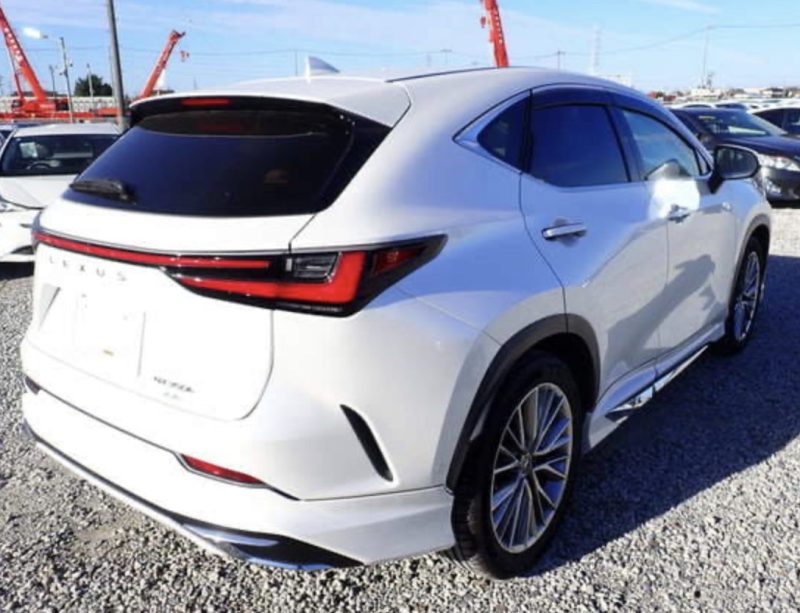 Lexus NX350 - photo 4