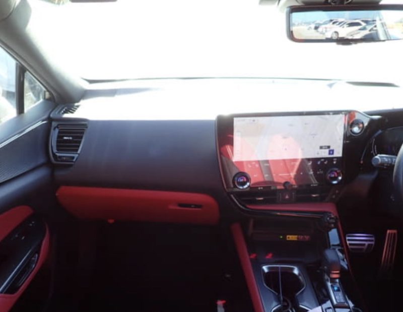 Lexus NX350 HYBRID F SPORT - photo 10