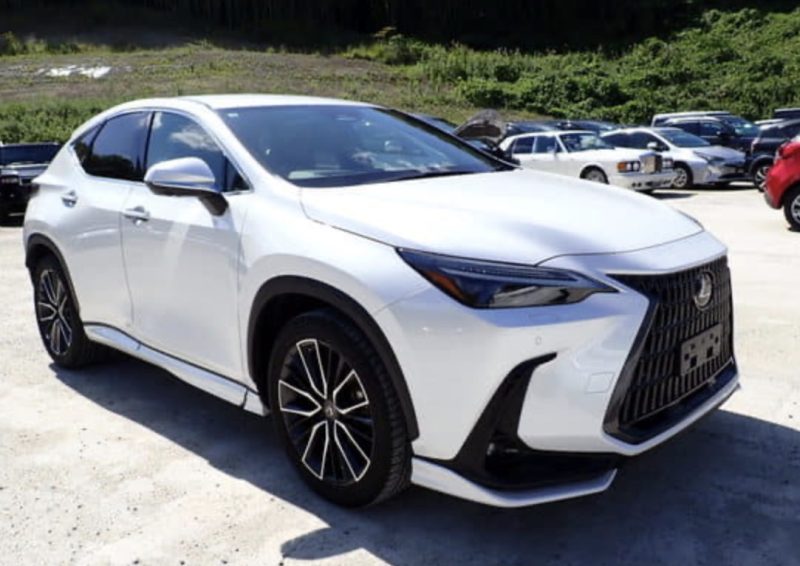 Lexus NX350 - photo 5