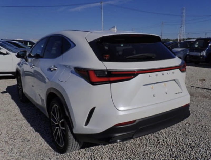 Lexus NX350 - photo 2