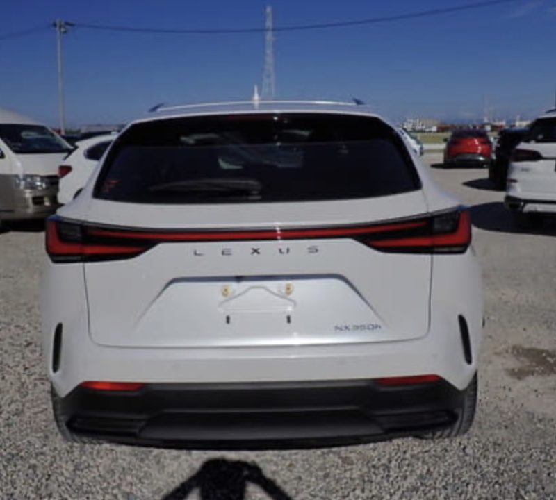 Lexus NX350 - photo 3
