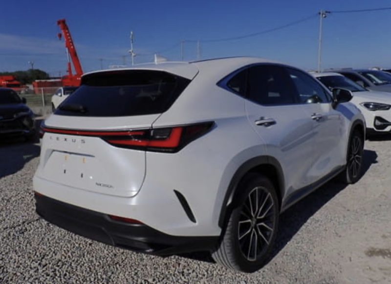 Lexus NX350 - photo 4