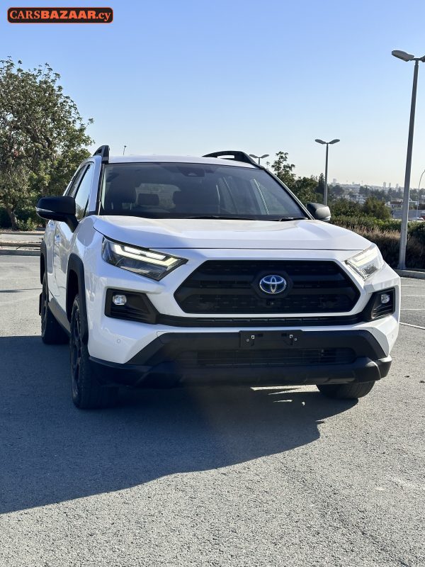 Toyota RAV4 Adventure  - photo 7