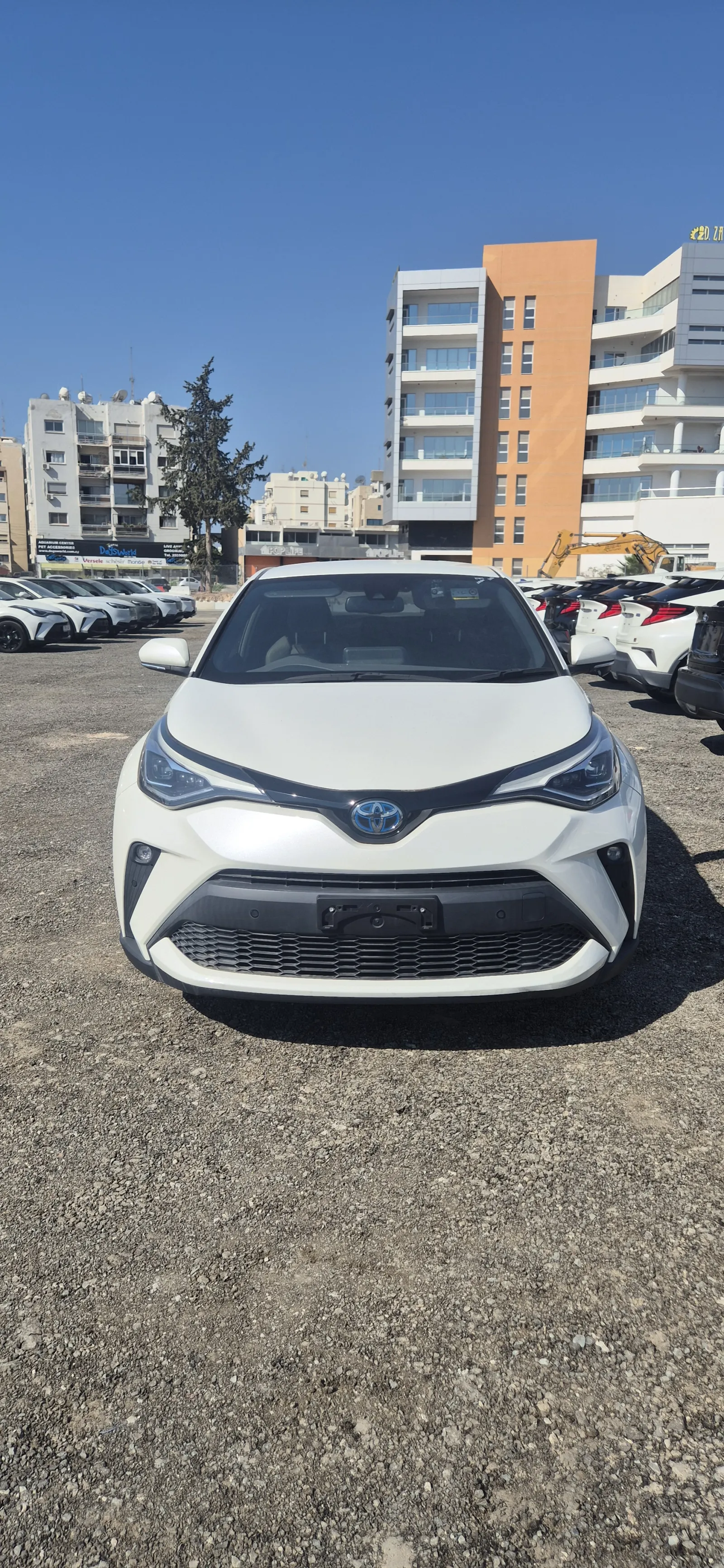 Toyota CHR - photo 6