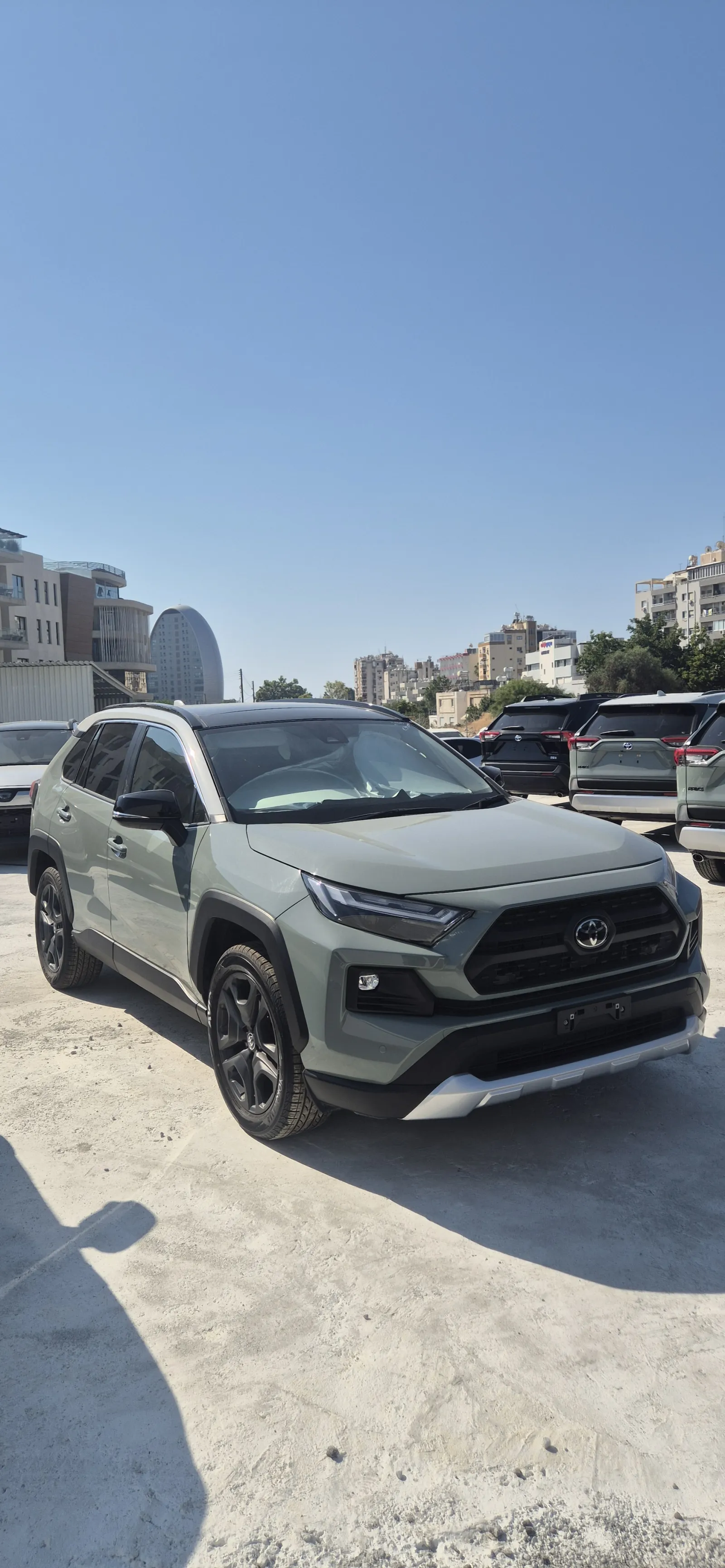 Toyota RAV 4 ADVENTURE - photo 3