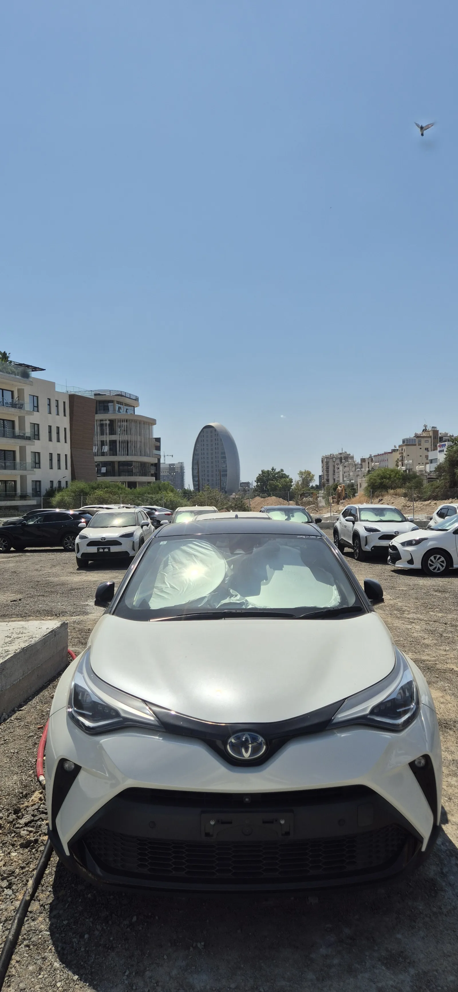 Toyota CHR - photo 2