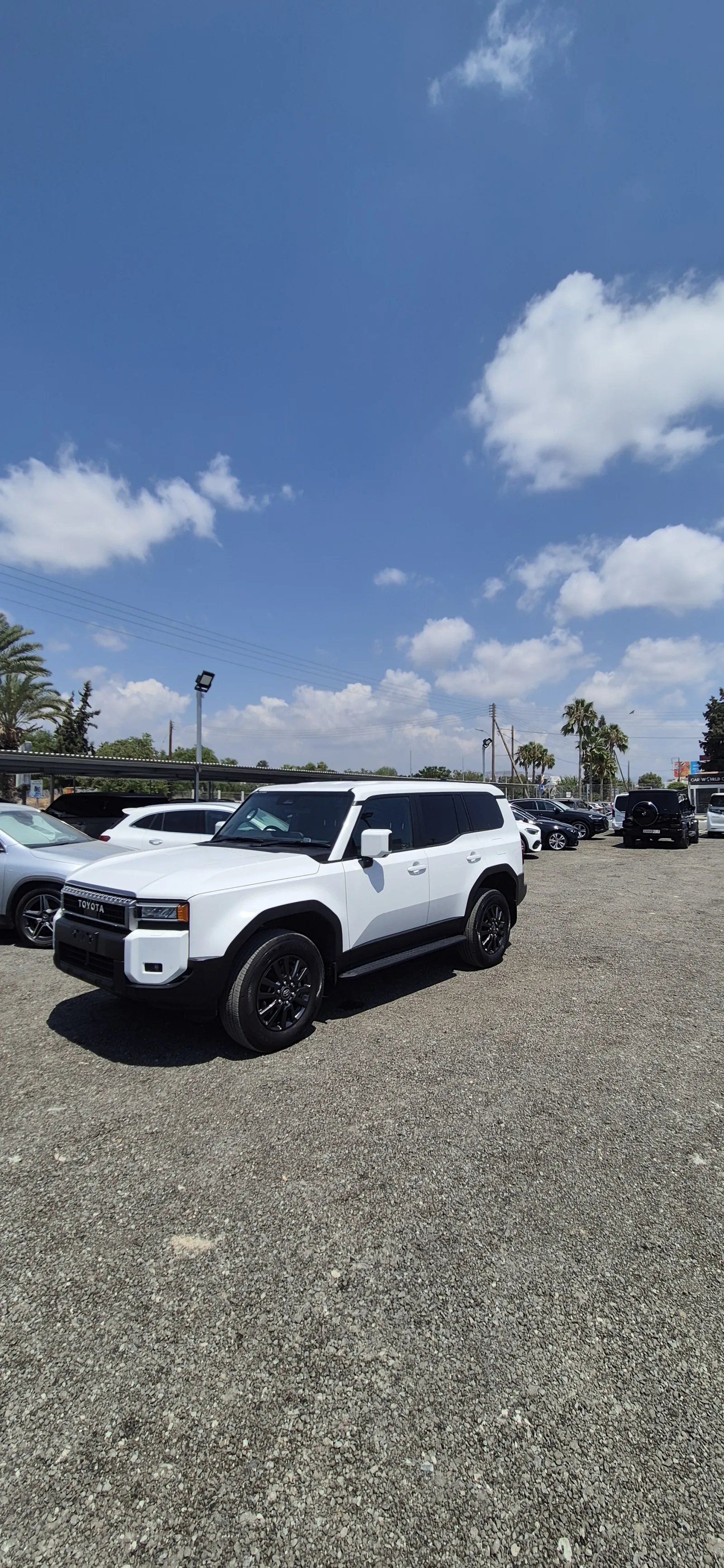 Toyota land Cruiser - photo 3