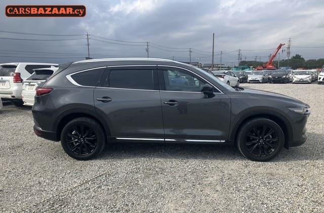 Mazda CX-8 - photo 6